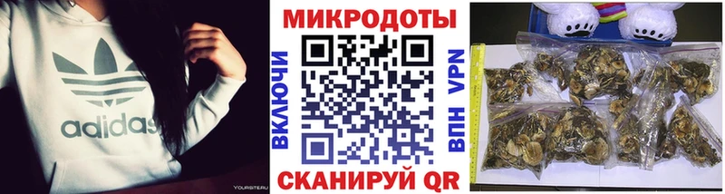 Псилоцибиновые грибы Cubensis  shop состав  Томари 